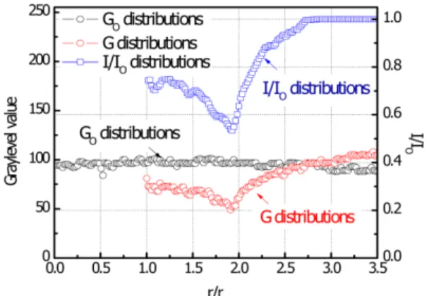 Fig. 3 Discretization of the sooting region for application of full-field light extinction measurement of soot concentration