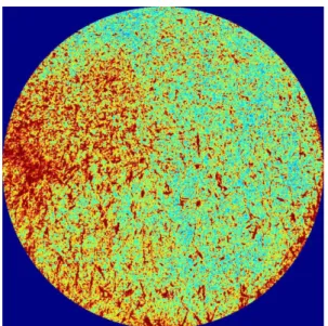 Fig. 7 Spray pattern RMS image of applied spray drop- drop-let breaker plate