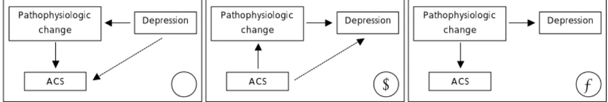 Fig. 1. Possible causal relationship between depression and acute coronary syndrome(ACS)