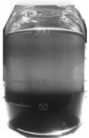 Fig. 1 WPO/Bio diesel emulsion