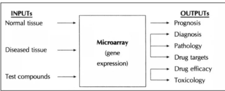 Fig. 2. Microarrays for gene-expression analysis provide an inte- inte-grated platform for functional genomics
