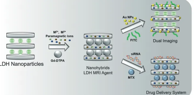 Fig. 1. Overview of MRI contrast agents and applications through LDH nanoparticles.