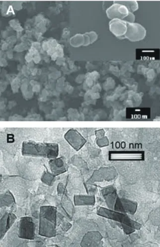 Fig. 2.   A. SEM images of Gd-DPTA/ZnAl-LDH, B. TEM image of  Gd-DPTA/MgAl-LDH. 8,17)