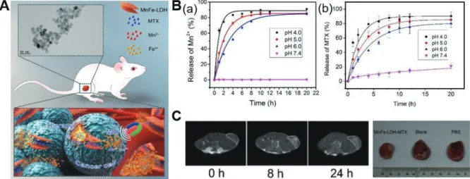 Fig. 6.   A. Schematic of MTX/MnFe-LDH with TEM image, B.(a) Release of Mn 2+  ions by time and pH, (b)Release of MTX by time and  pH, C