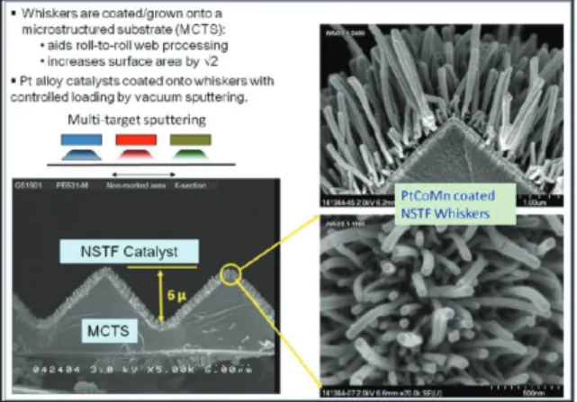 Fig. 13. PtCoMn 합금 촉매가 코팅된 휘스커 구조의 SEM 이미지 91)