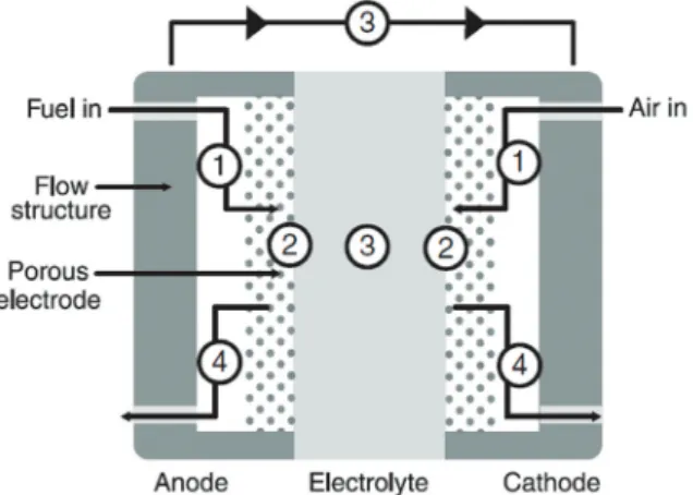 Fig. 1.   Cross section of fuel cell illustrating steps in electrochemi- electrochemi-cal reactions  3)