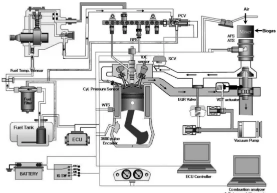 Fig. 1 Schematic of experimental setup