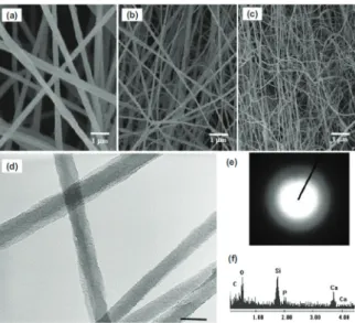 Fig. 21. Electrospinning법에 의해 제조된 Nano Glass fiber 26)Fig. 20.   Trend  of  Patent  Application  by  Major  Countries23)