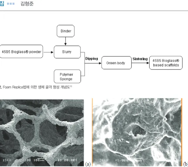 Fig. 2. Foam Replica법에 의한 생체 골격 형성 개념도 11)