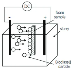Fig. 6.   SEM image of the porous surface in a PDLLA foam coated  with Bioglass particles 11)