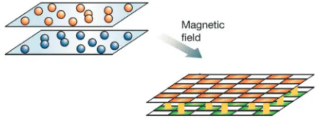 Fig. 2는 GaAs/AlGaAs 적층 구조(heterostructures) 기반의 더블 층 시스템에서 드라이브 층과 드래그 층의  전하밀도가 같을 때, 란다우 준위의 채움 정도에 따라 측 정된 홀 일반 저항(R xy * )과 홀 드래그 저항(R xy,D )을 보여 준다 8) 
