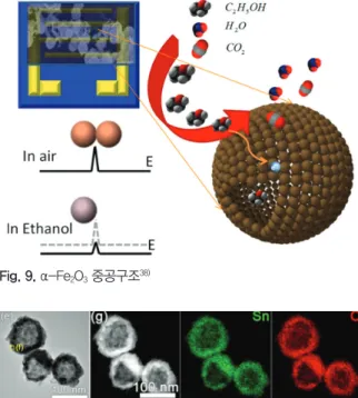 Fig. 9. α-Fe 2 O 3  중공구조 38)