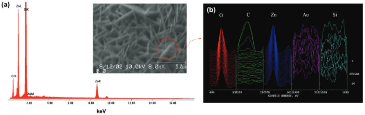 Fig. 6.   FE-SEM  and  TEM  images  of  plate-type  ZnO  nanowall  array(NWA); (a, b) SEM and high-resolution TEM images  for top surface of NWA, (b, d) SEM image and  high-reso-lution TEM image including selected area electron  diffrac-tion pattern (inset