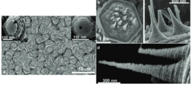 Fig. 10.   (a, c) Excitation irradiation (Iex)-dependent PL spectra of  ZnO nanorod and nanowall array dispersed with 150 g/