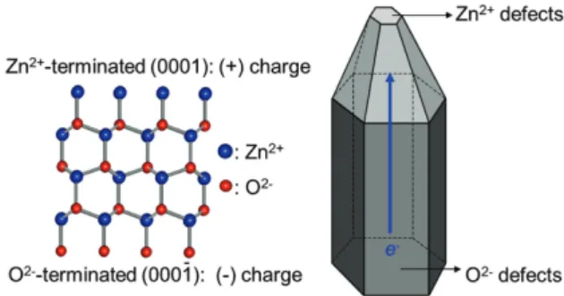 Fig. 14.   Schematic representation for stabilization mechanism of  polar ZnO crystal with the {0001}