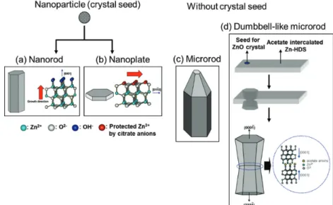 Fig. 16은 서로 다른 4가지 ZnO crystal의 SEM 사진을  보여주고 있으며 각각의 입자 크기 및 이론적으로 계산된  전체 surface area와 (0001)면의 surface area을 보여주 고 있다