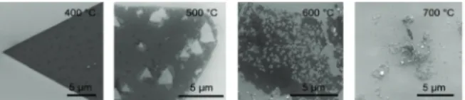 Fig. 7. 수소 열처리 온도에 따른 MoS 2 의 SEM 이미지. 31)