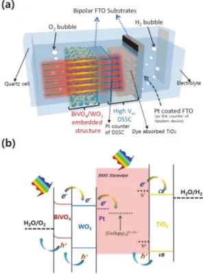 Fig. 2. (a) Tandem 셀 구조 모식도. WO 3 /BiVO 4  PEC  셀과 porphyrin dye-TiO 2 가 각각 PEC  셀과 DSSC  역할을 함