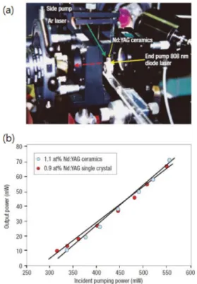 Fig. 2. 1% Nd:YAG 세라믹의 미세구조 . 7)