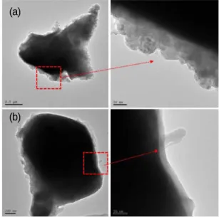 Fig. 14. 5 wt% MgO 물질이 코팅된 NiZn ferrite  입자의 TEM  사진 .