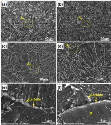 Fig. 7 Optical and SEM images of heat treated SPFC1470  microstructure at 700℃-20s: (a) optical image, (b)  SEM image at region denoted as Y 1  in (a) 