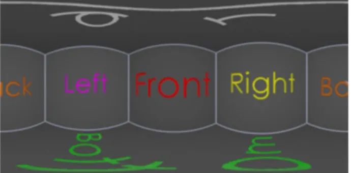 Fig. 1. ERP Representation.