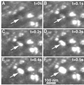 Fig. 1. In-situ tensile TEM 관찰 (암시야상영상-dark field images) 에 따른 nanocrystalline nickel 소재의 소성변형 시 발생 하는 결정립계 성장의 확인