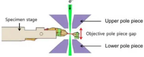 Fig. 3. Eutectic  온도 부근에서의 Ge  나노와이어의 성장 및 Au