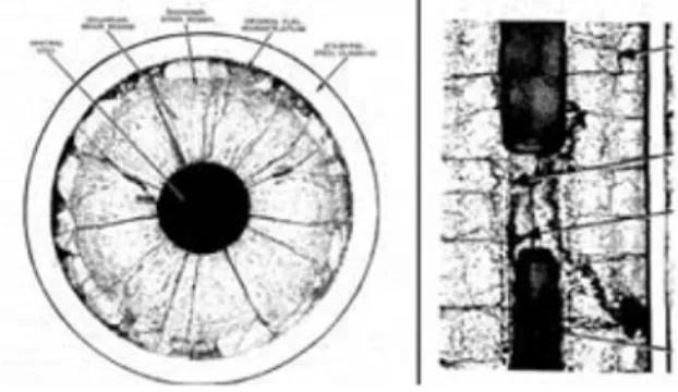 Fig. 2. 235 U의 핵분열 모식도 . Fig. 3. 핵 연료봉 연소 후 단면사진 .