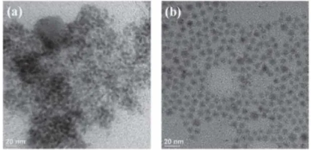 Fig. 3. 열 경화된 nanocomposite  내의 양자점의 (a) UV 조사 전, (b) UV 조사 후(1시간)의 TEM  사진. 33)