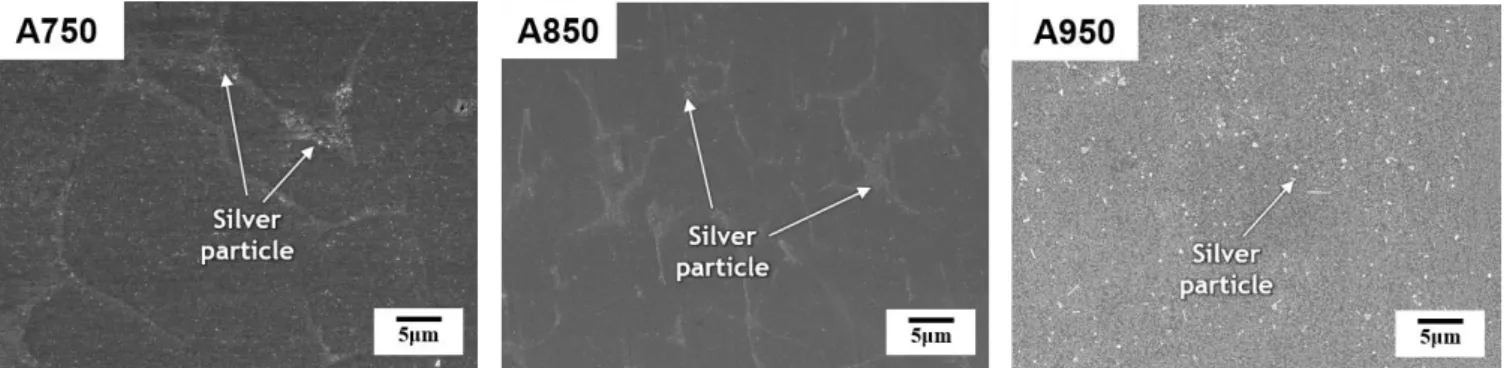 Fig. 5 SEM micrographs of the A750, A850 and A950 specimens after electrochemical hydrogen-charging for 2 hr at  the  current  density  100  A/m 2   in  the  4%  NaOH  solution  and  exposure  to  a  KAg(CN) 2 -   ion  solution