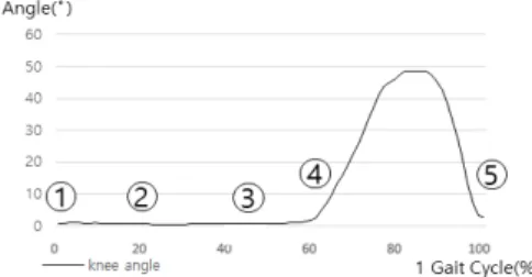 Fig. 2. Knee angle changes of prosthesis user during flat walking.