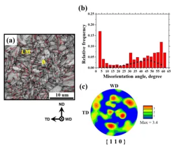 Fig.  5  Microstructural  features  of  the  base  material  of  CP steel measured in region 4 in Fig