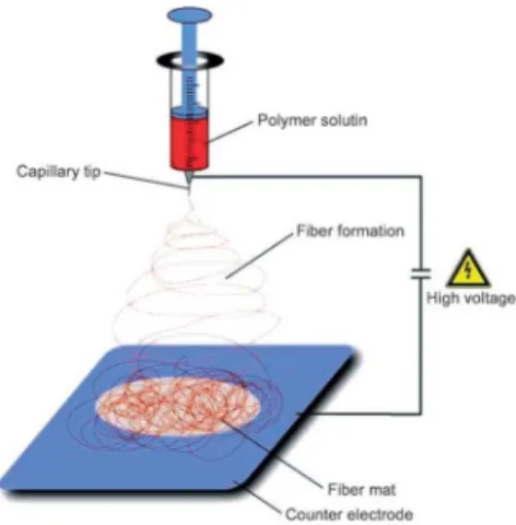 Fig. 3. 전기방사로 제조된 PMMA  나노섬유의 SEM  사진 . (a)-(c) 분자량 변화에 따른 비교 . (d)-(e) 분자량 분포 변화에 따른 비교 