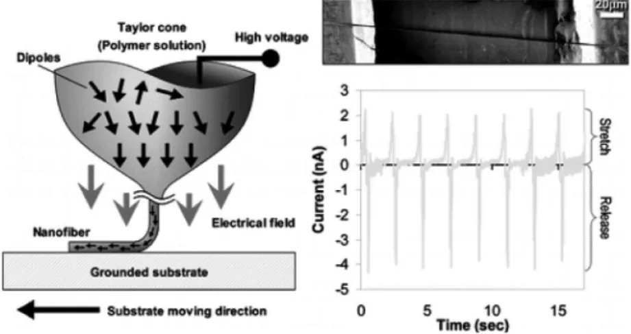 Fig. 4. PVDF nanofiber 6) .