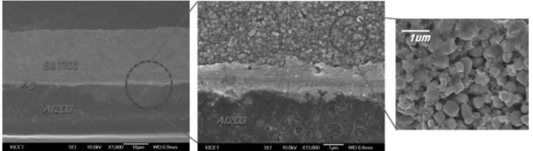 Fig. 10. 무소결 고충전 세라믹 기술을 응용한 이종물질 적층 구조 단면사진 .
