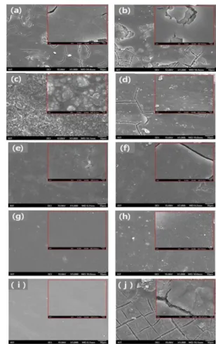 Fig.  3  FE-SEM  surface  morphology  images  of  Zn-Ni  coated and others treated samples from (a) to (j) 