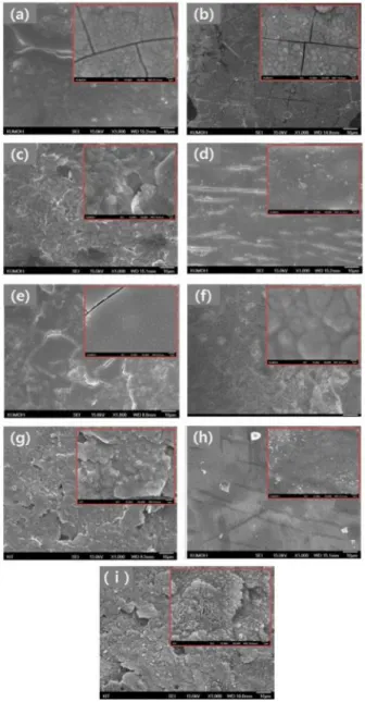 Fig.  2  FE-SEM  surface  morphology  images  of  Zn-Ni  coated and others treated specimens from a to i 