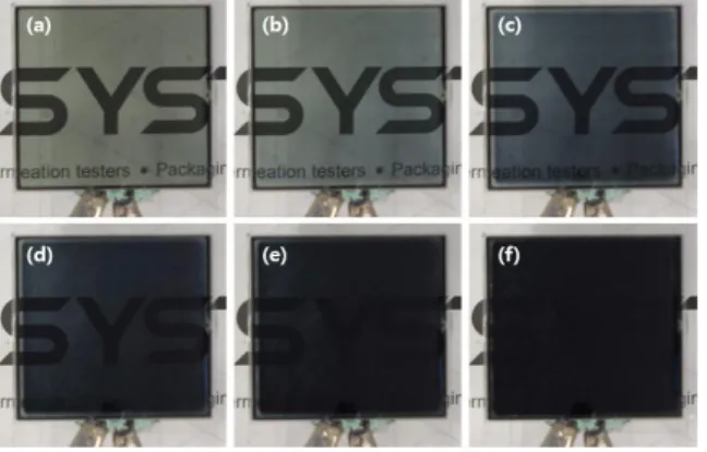 Fig. 7. Variation of light transmission by applied voltage with (a) 0V, (b) 1.01V, (c) 1.50V, (d) 1.96V, (e) 2.44V and (f) 3.53V using the driving system.