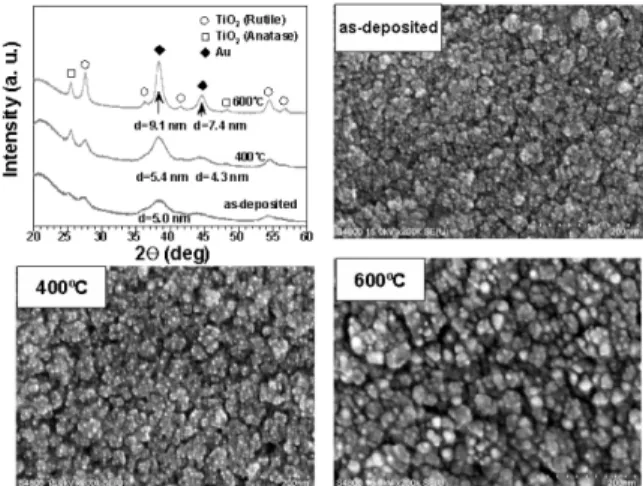 Fig. 5. XRD patterns and FE-SEM images of Au/TiO 2