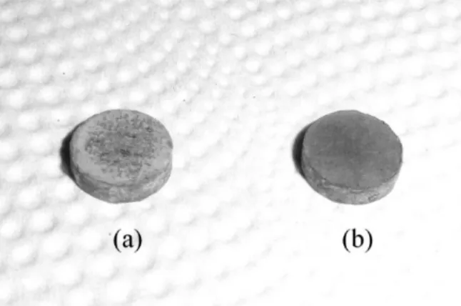 Fig. 1. Specimens after SPS at 2300℃ under 60MPa pres- pres-sure in 0.1MPa Ar atmosphere for (a) 5 min, (b) 15 min.
