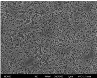 Fig. 4. Microstructure of SiC densified by SPS using nano-SiC powder and  “Al8B4C7”additive
