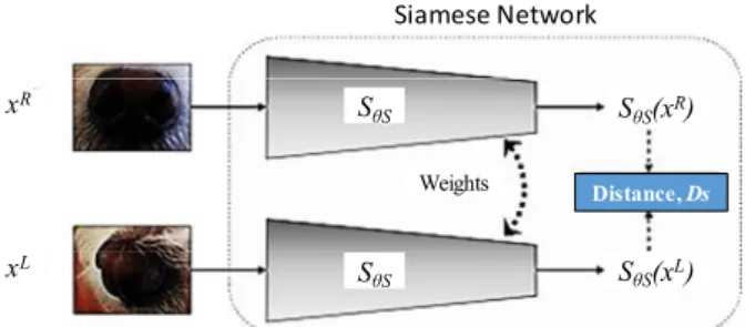 Fig. 3. Nose-print recognition using Siamese network.