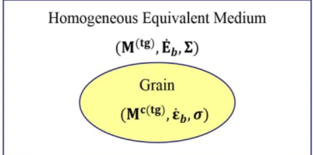 Fig. 2 Schematic diagram of visco-plastic self-consistent  polycrystal model  reorientation) 모델을 사용한다[16]