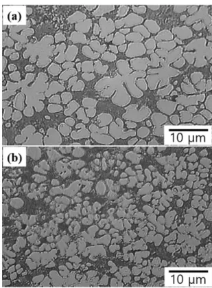 Fig.  1은  Mg+Al 2 Ca  합금을  첨가하여  개량한  ADC12  합금의  초기  미세조직  관찰  결과이다.  여기서  (a)는  0.6%  Mg,  (b)는  0.8%  Mg로  제어된  ADC12  합금들이 다