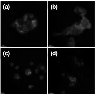 Fig. 6. (a) Preparation of zinc oxide nanostructures, (b) Microarray of zinc oxide nanostructures formed on glass substrate.