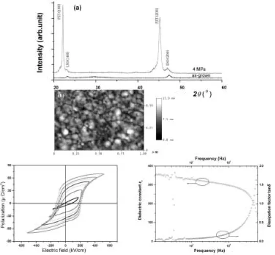 Fig. 3. High Oxygen Pressure Process 법으로 증착한 PZT박막의 특성.
