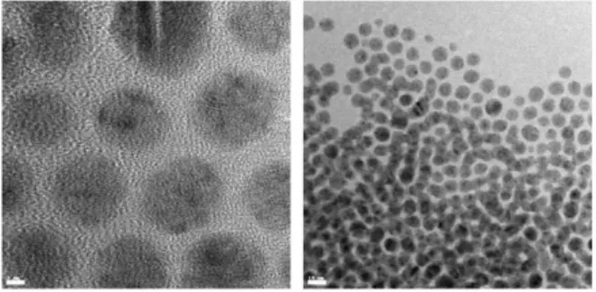 Fig. 13은 aprotic 용매 중 하나인 DMF(sodium lauryl sul- sul-fate)에 은 나노입자를 재 분산 시킨 후 TEM으로 관찰한 분석 결과는 Ag-carboxylate로 표면 개질된 은 나노입자와 DMF의 계면활성제 상호작용으로 입자가 균일하게 분포되어 분산된 것을 확인할 수 있었다