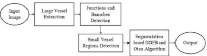 Fig. 7.  A  block  diagram  of  our  method  for  small  vessel  extraction.