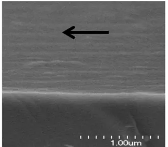 Fig. 1. Schematic of the fabrication of transferred HfZnO film and LC cell.